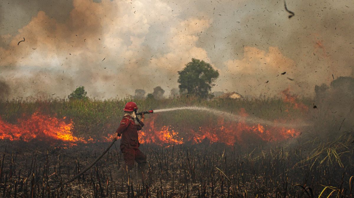 Indonésie bojuje proti hladu. Plánem, který ničí přírodu a oslabuje komunity